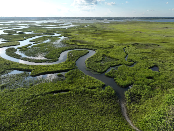 Masonboro Island